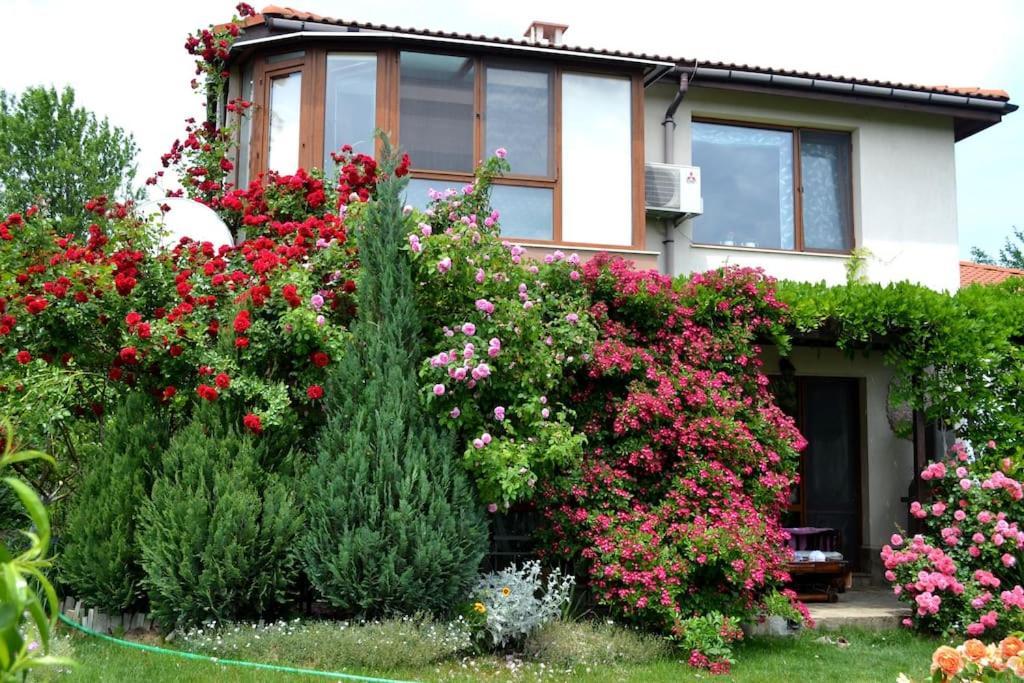 Sea & Garden Villa Varna Exteriér fotografie