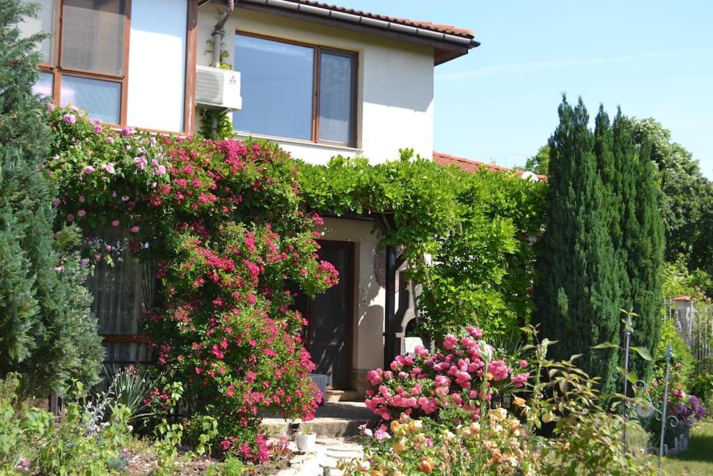 Sea & Garden Villa Varna Exteriér fotografie