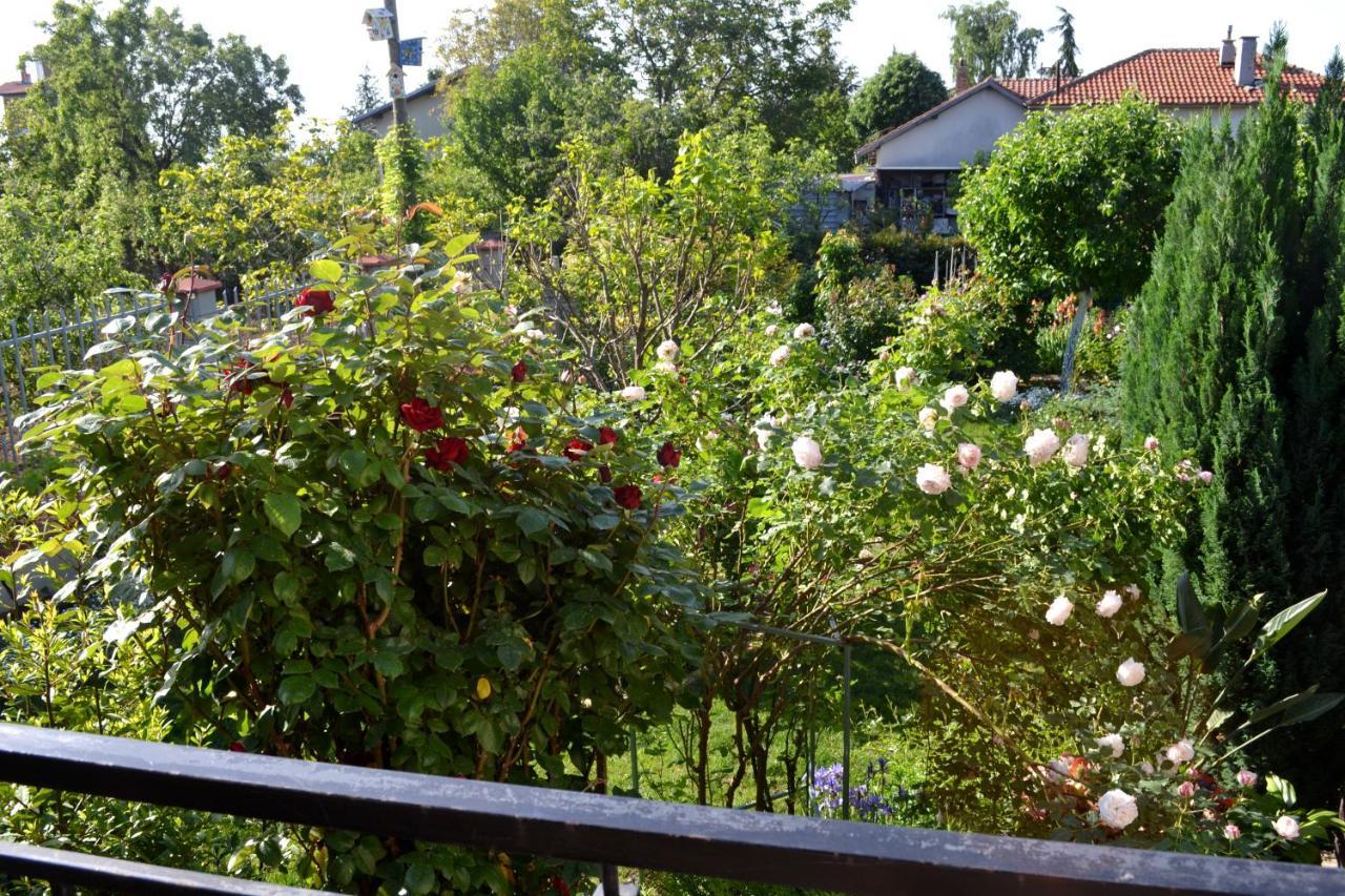 Sea & Garden Villa Varna Exteriér fotografie