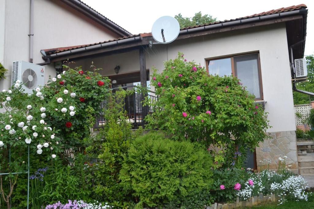 Sea & Garden Villa Varna Exteriér fotografie